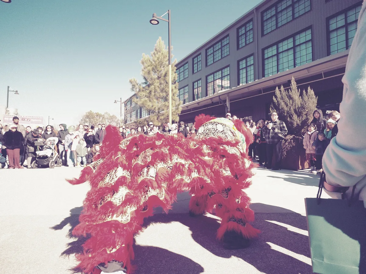 Lunar New Year photograph 5